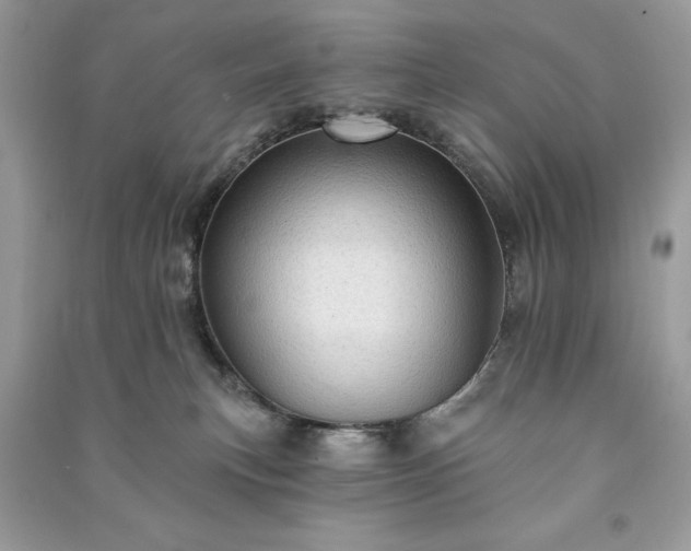 X0000090980183200708091505