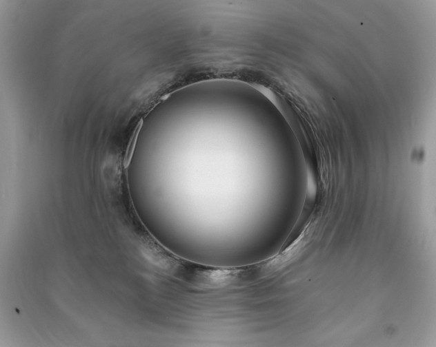 X0000090980184200708091505