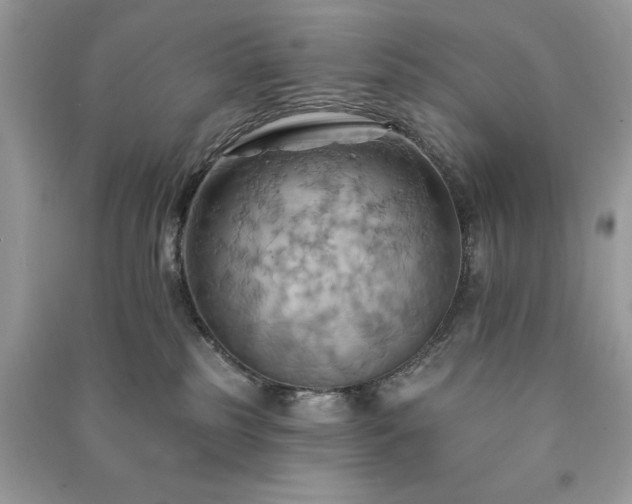 X0000090980185200708091505