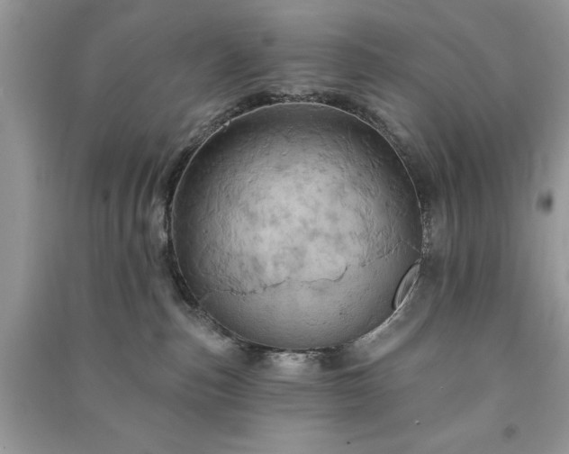 X0000090980187200708091505