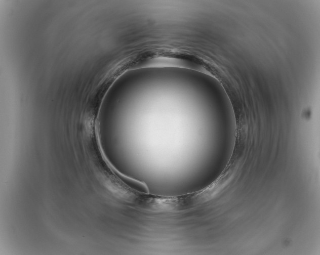 X0000090980188200708091505