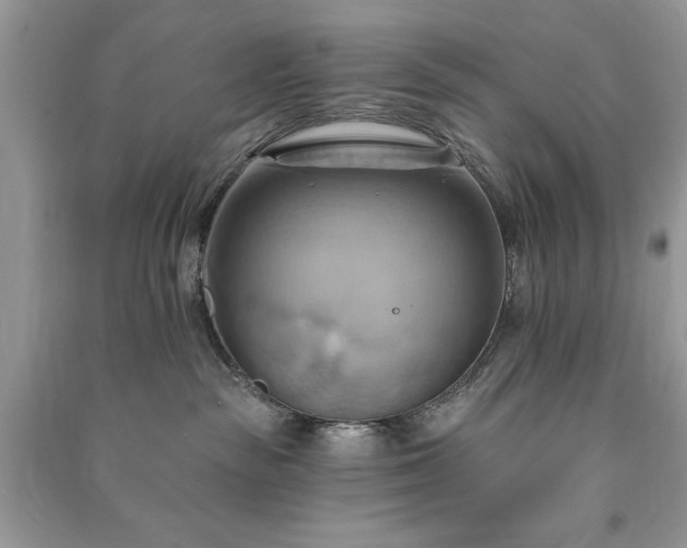 X0000090980189200708091505