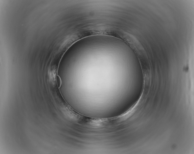 X0000090980190200708091505