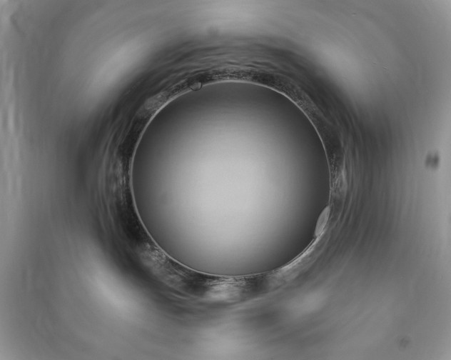 X0000090980191200708091505