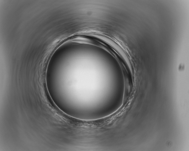 X0000090980193200708091505