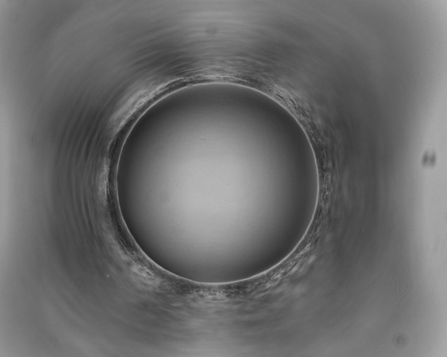 X0000090980194200708091505