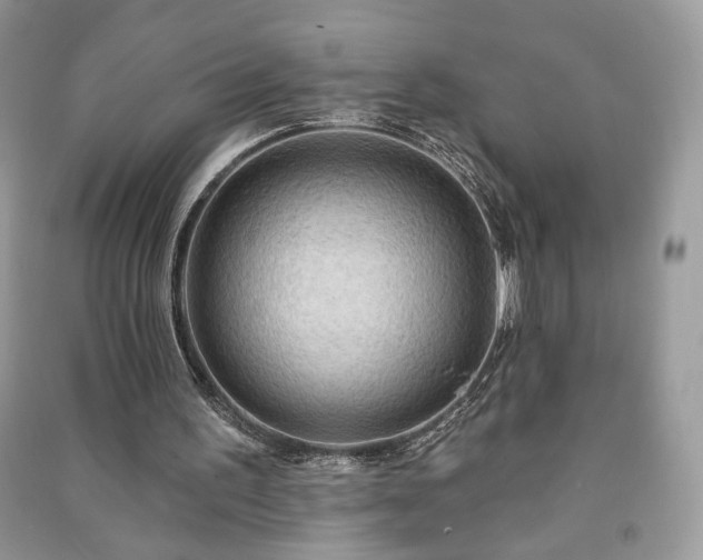 X0000090980195200708091505