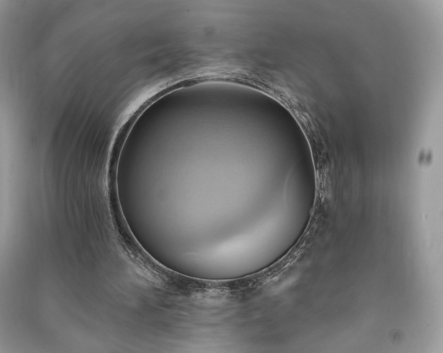 X0000090980196200708091505