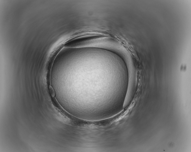 X0000090980197200708091505