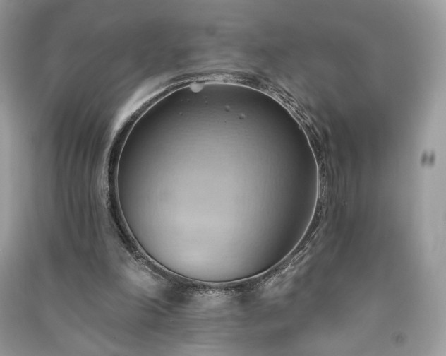 X0000090980198200708091505