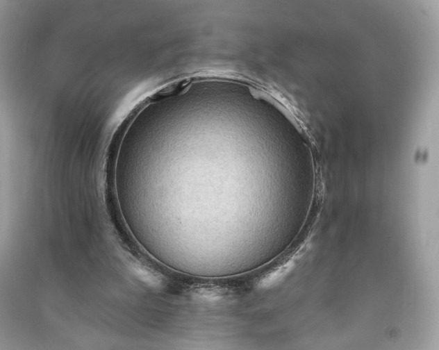 X0000090980199200708091505