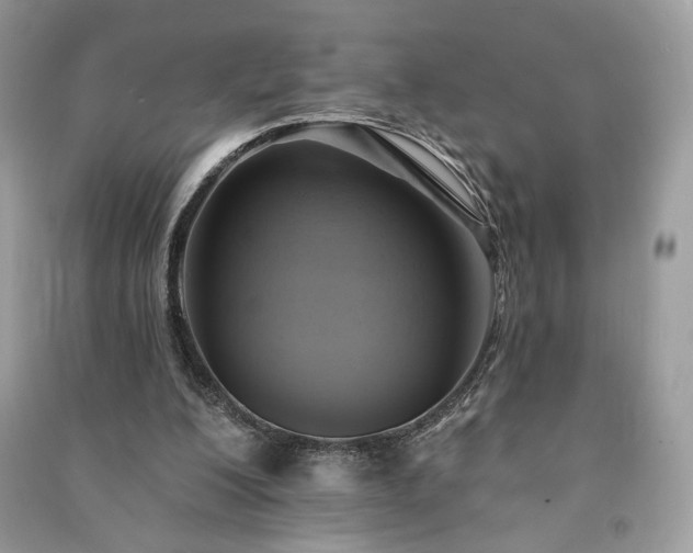 X0000090980200200708091505