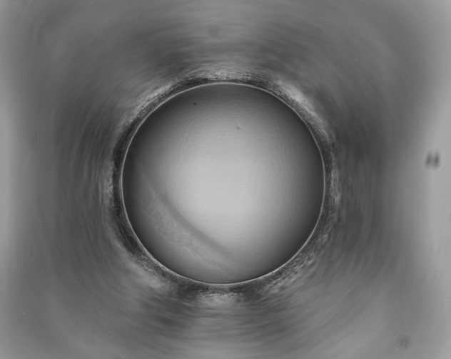 X0000090980202200708091505