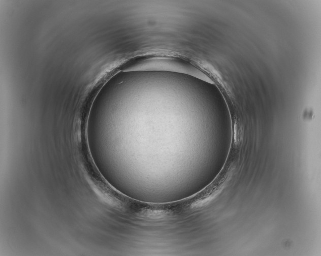 X0000090980205200708091505