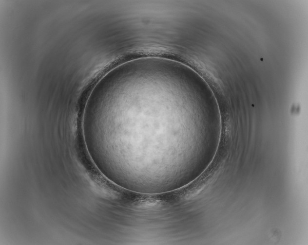 X0000090980206200708091505