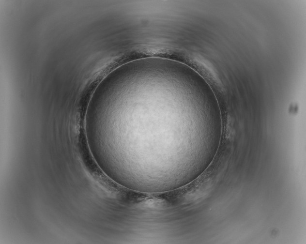 X0000090980210200708091505