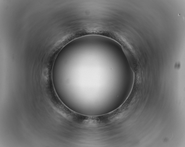X0000090980211200708091505