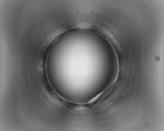 X0000090980212200708091505
