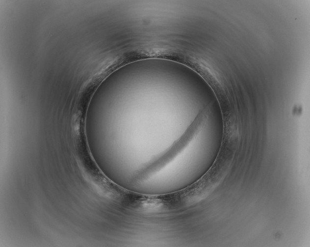 X0000090980214200708091505
