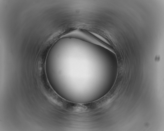 X0000090980215200708091505