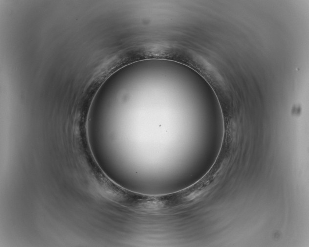 X0000090980217200708091504