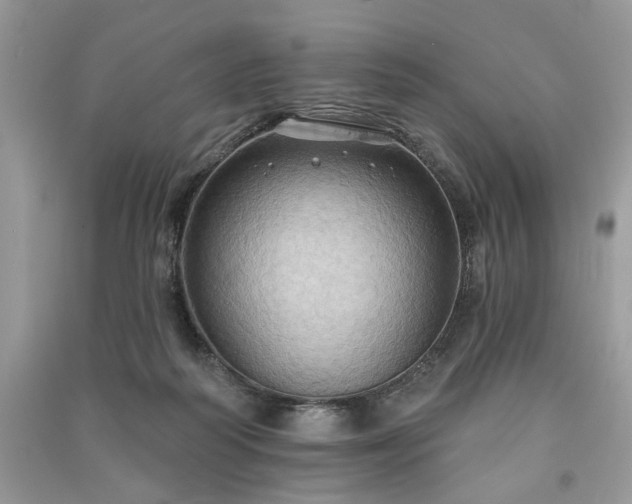 X0000090980218200708091504