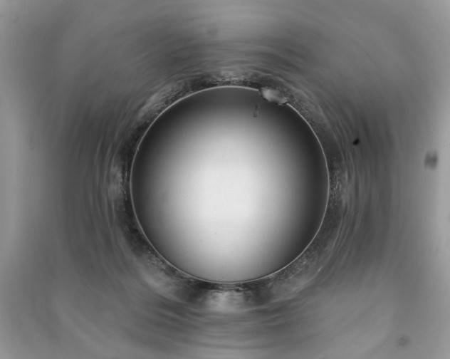 X0000090980220200708091504