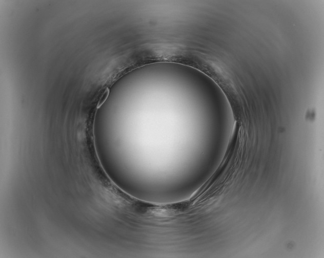 X0000090980221200708091504