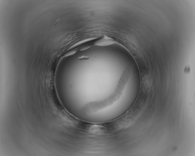 X0000090980222200708091504