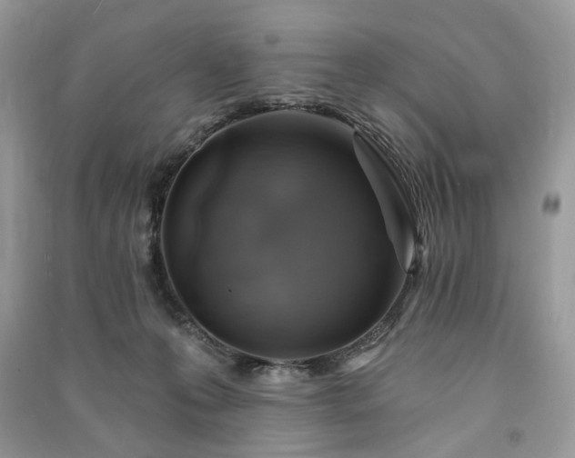 X0000090980223200708091504