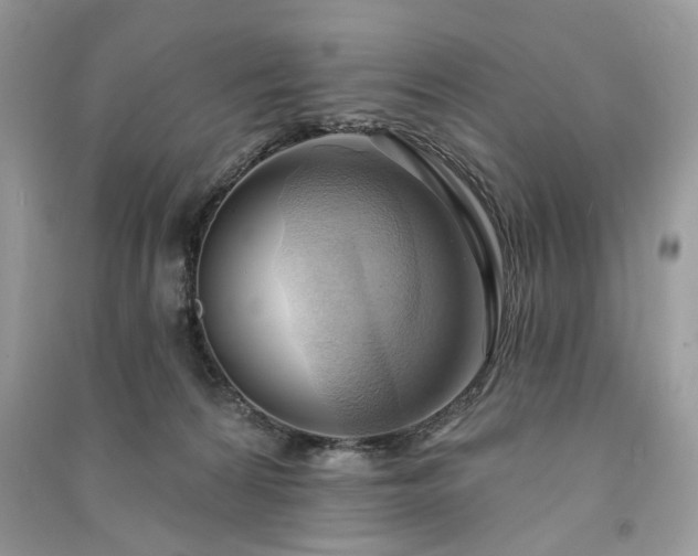 X0000090980224200708091504