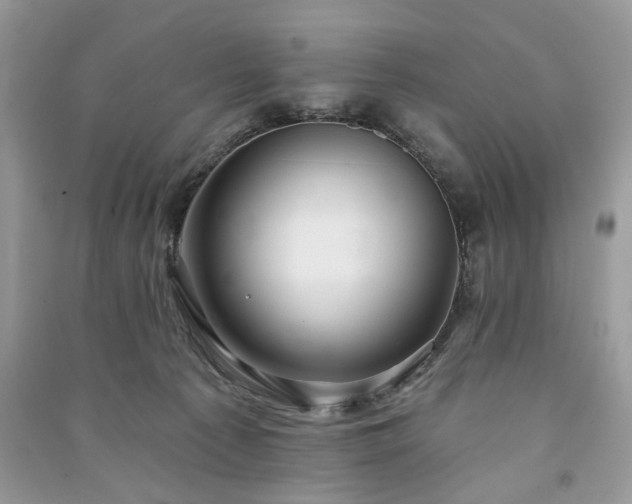 X0000090980225200708091504