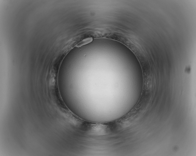 X0000090980226200708091504