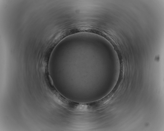 X0000090980227200708091504