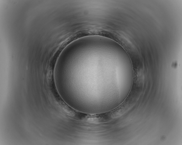 X0000090980228200708091504
