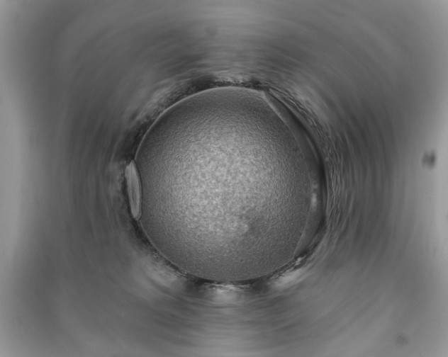 X0000090980229200708091504