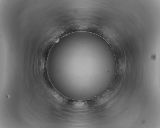 X0000090980230200708091504