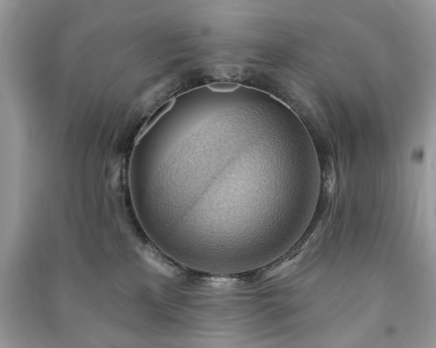 X0000090980233200708091504