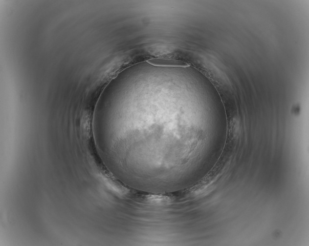 X0000090980234200708091504