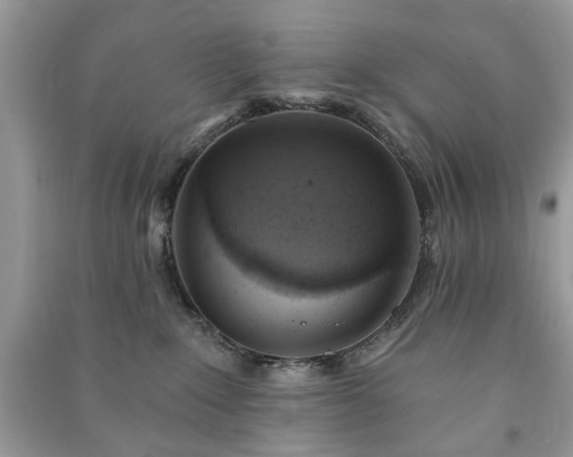 X0000090980235200708091504