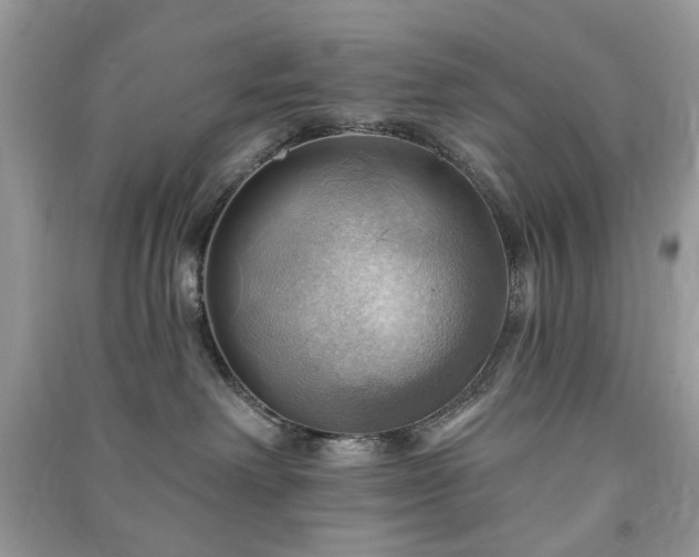 X0000090980238200708091504