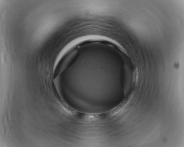 X0000090980239200708091504