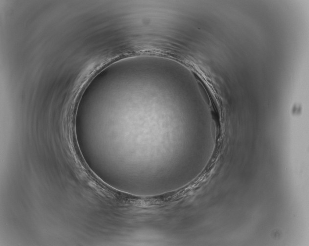 X0000090980241200708091503