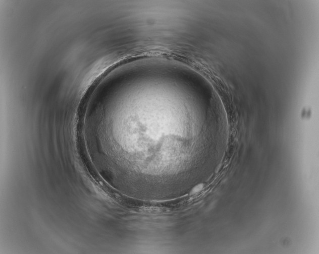 X0000090980242200708091503
