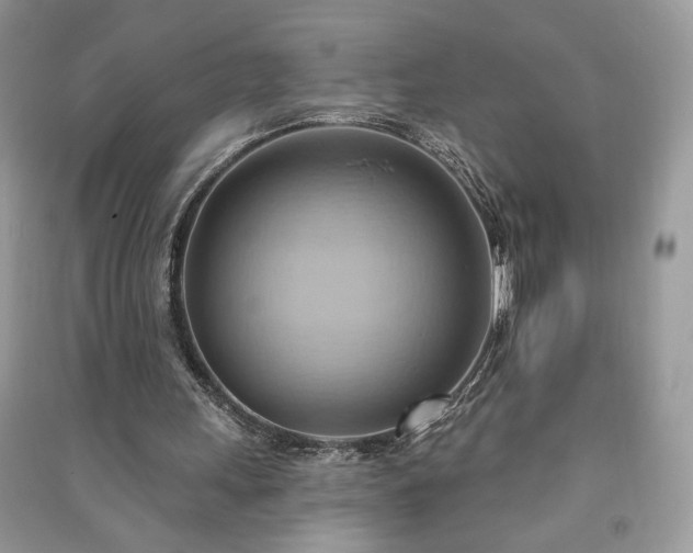 X0000090980243200708091503