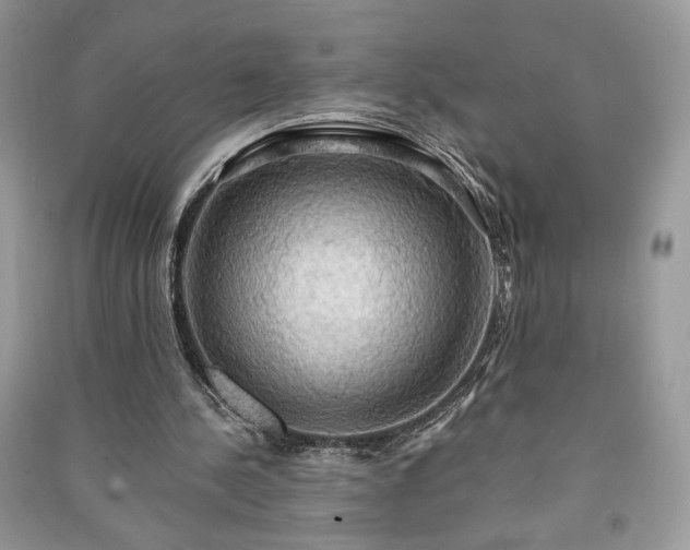 X0000090980244200708091503