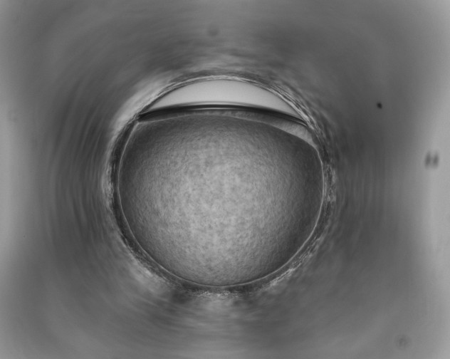 X0000090980245200708091503