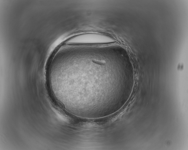 X0000090980246200708091504