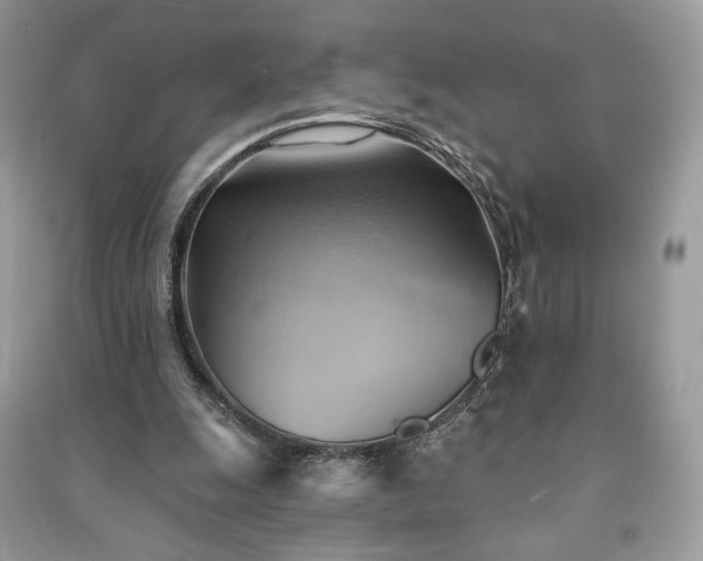 X0000090980247200708091504