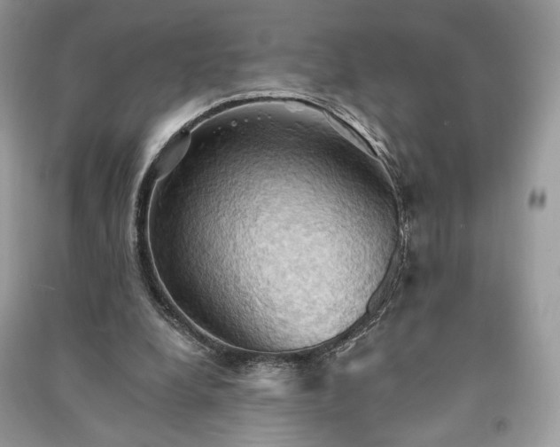 X0000090980248200708091504